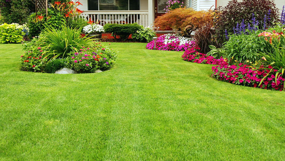 Beautiful landscaped lawn by Peak Precision Landscaping